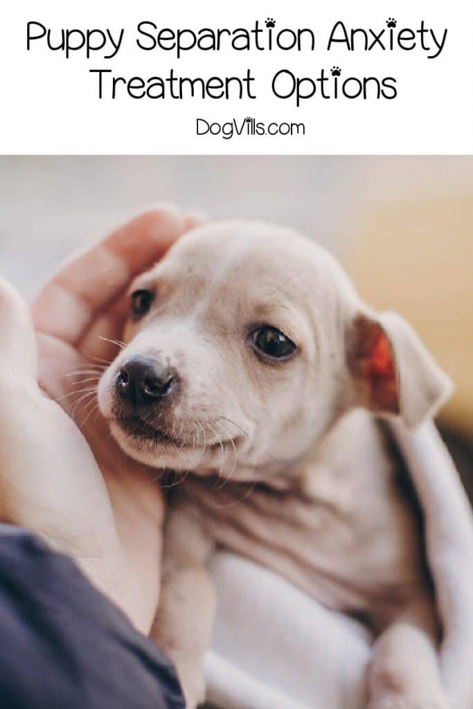 Let's look at common treatment options, but please understand that this is NOT medical advice. It's merely to give you an idea of what to expect when you discuss it further with your vet.