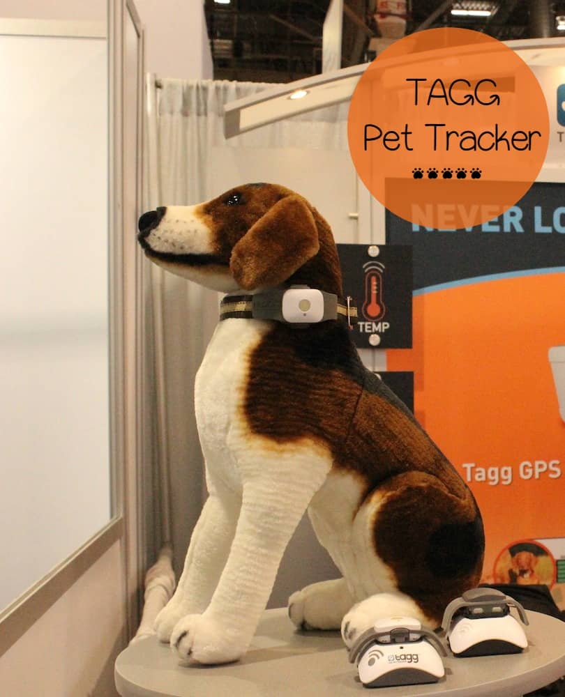 Worried about loosing Fido? Wondering if he's getting enough exercise? With TAGG Pet Tracker, you can track his location and see his daily activity!
