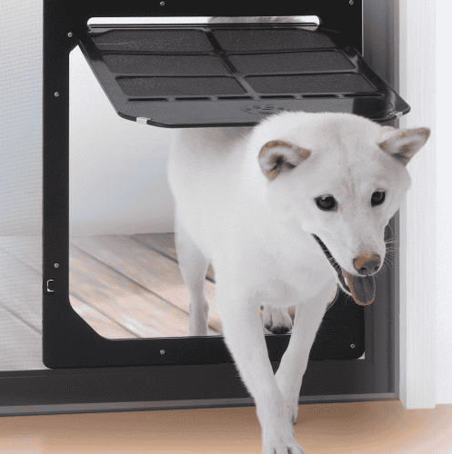 Large Pet Door For Screen Doors Best Wide Dog Gates For Outdoors