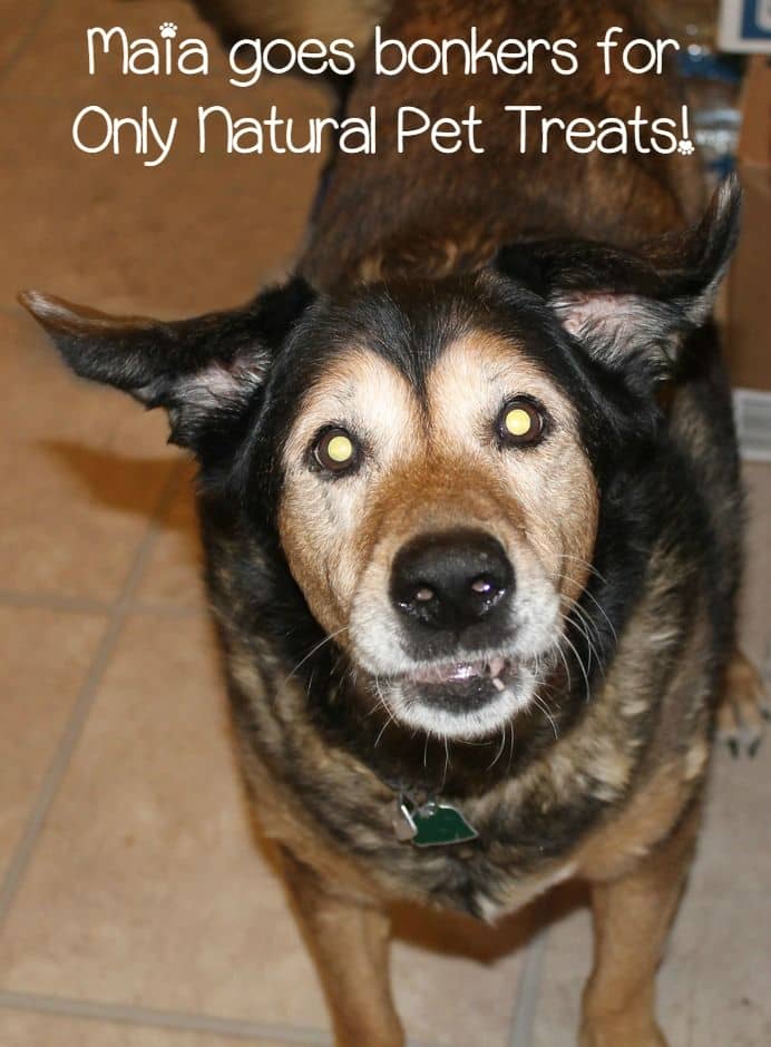 Want to see your dogs go totally bonkers for a treat? Give them goodies from Only Natural Pet! With wholesome ingredients, you'll feel good about them too!