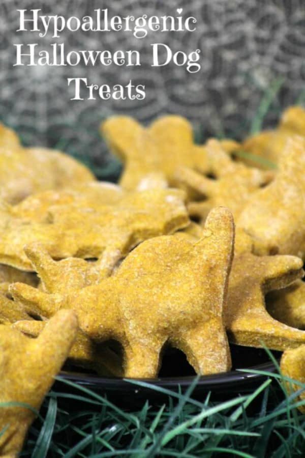 Whip up a batch of these Halloween hypoallergenic dog treats to give your dog a fun reward & make his hypoallergenic dog food more fun!