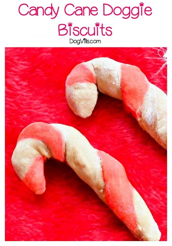 Make this Delicious Christmas dog treat recipe. Your pup will love Candy Cane shape and flavor