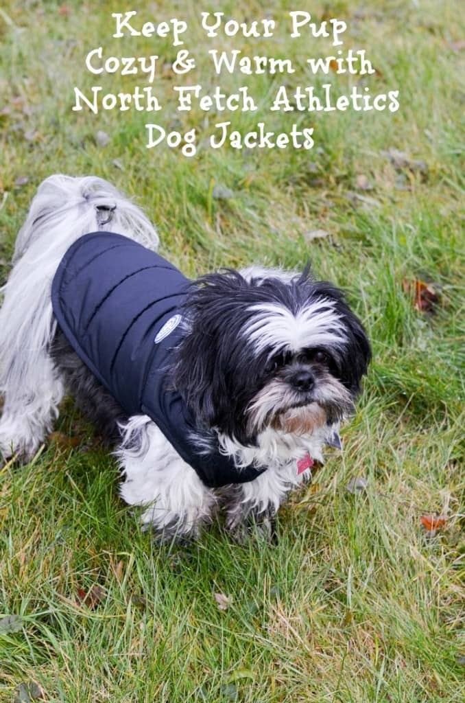Keep your beloved canine companion cozy & warm during the harsh northern winters with North Fetch dog jackets! They're affordable & stylish! Check them out!