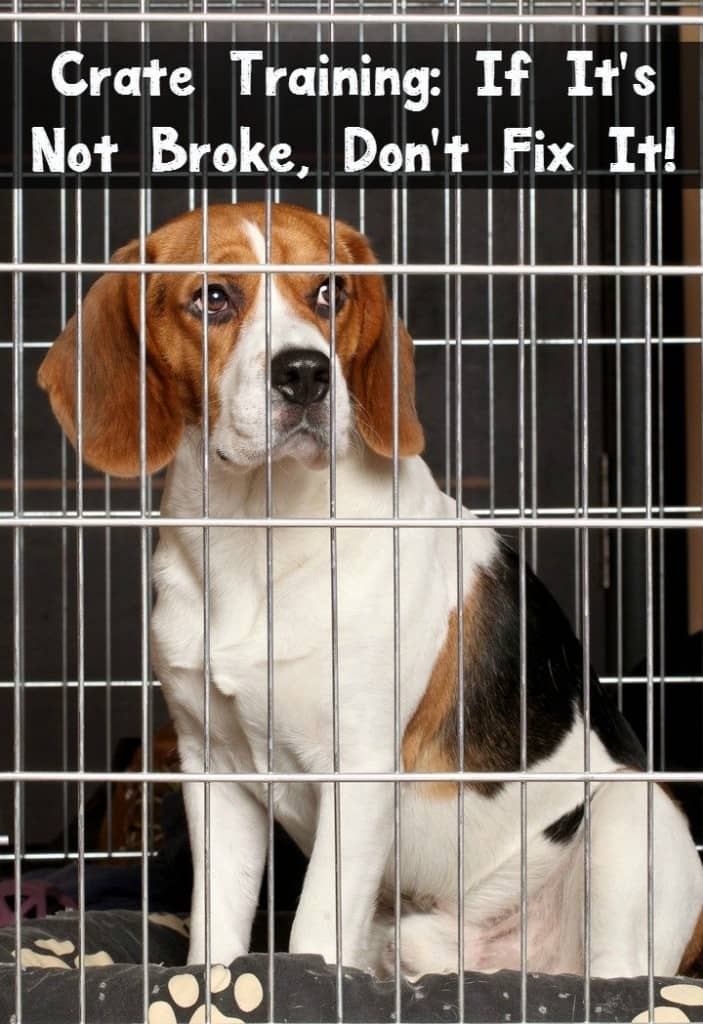 Crate training is one of the best training methods around. But whether you're crate training or not, never change what works. Be consistent at all times.