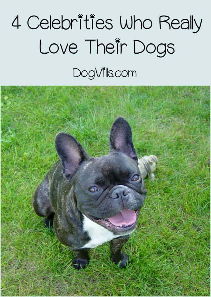While many celebs love animals of all kinds, there are a few top celebrity dog lovers in Hollywood that seem to go above and beyond for their canine companions. They don't just love their dogs, they include their furkids in major life events, develop entire product lines around them or talk them up in the media much like a proud parent would talk about a child. Check out a few of our favorite top celebrity dog lovers in Hollywood!