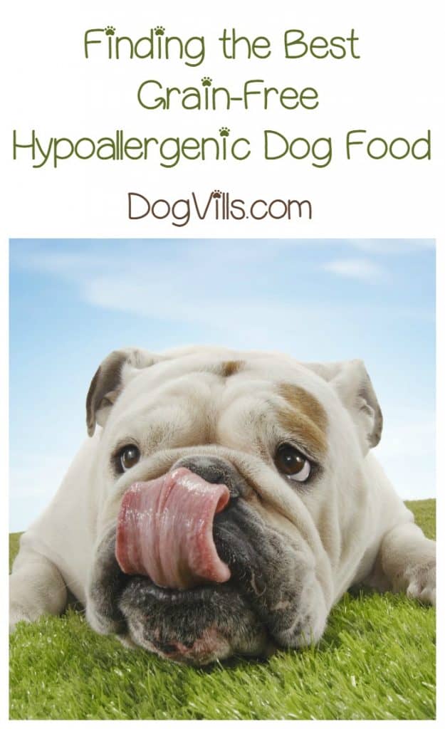 Looking for the best grain-free hypoallergenic dog food for your pup with allergies? You don't have to look far at all! Find out why!