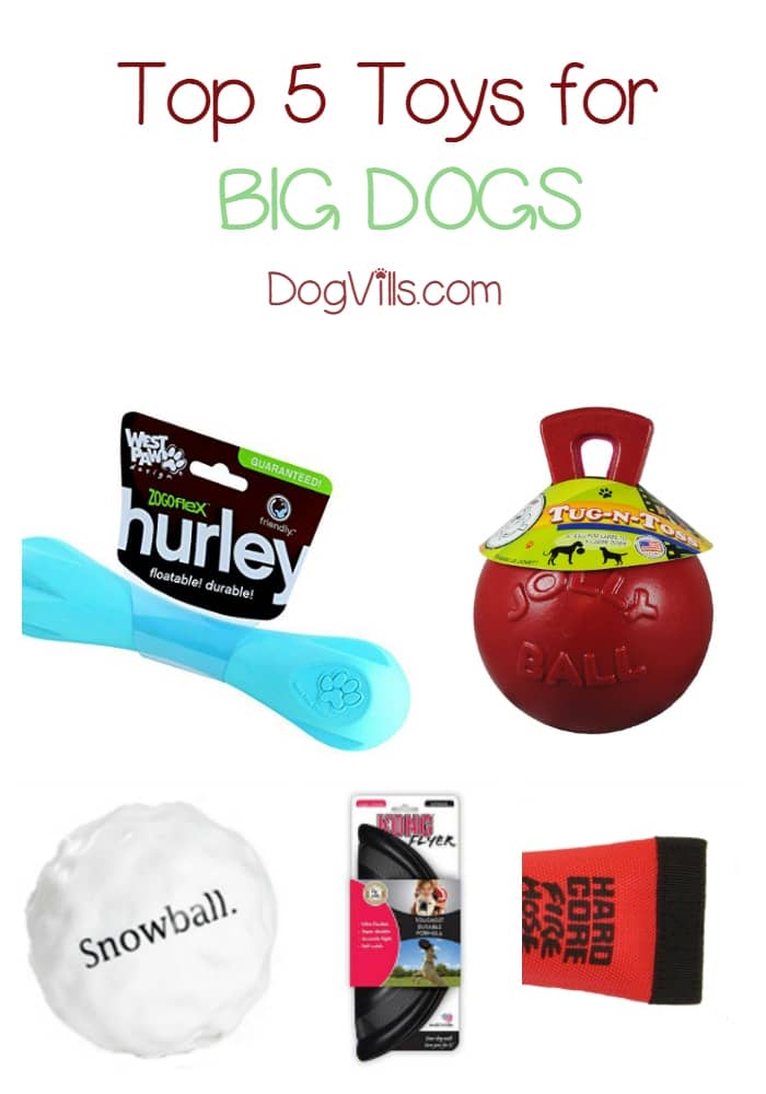 Looking for the best dog toys for big dogs? Check out our picks for 5 great toys that won't fall apart the moment Fido's teeth touches them!