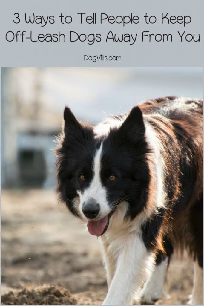 How do you tell someone to keep their off-leash dog away from you and your dog? In an ideal world, everyone would obey leash laws and you wouldn't have to worry about it! Unfortunately, some people feel they are above leash laws. Here’s how to deal with them!