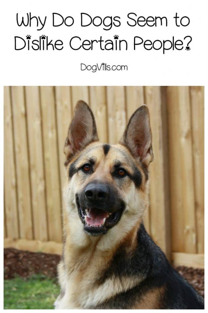 Why do dogs seem to dislike certain people? Are they sensing something we aren't? What can we do to help a dog overcome that mistrust? Read on to learn the answers to all of these questions!