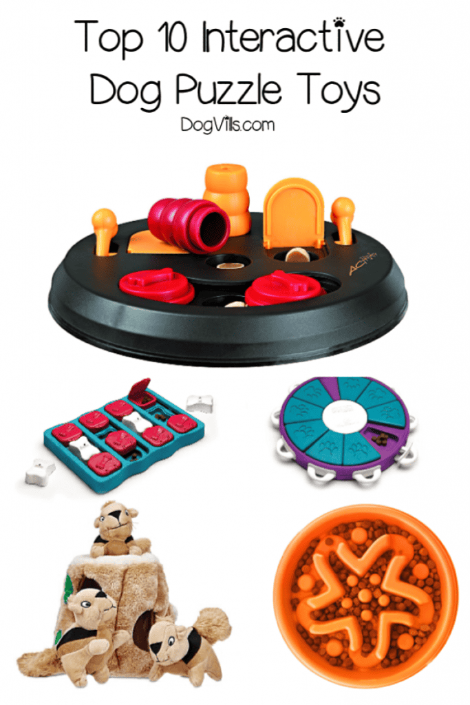 Interactive dog puzzles are so beneficial to your pooch! They help curb boredom and stimulate them mentally. Check out our top 10 favorites!