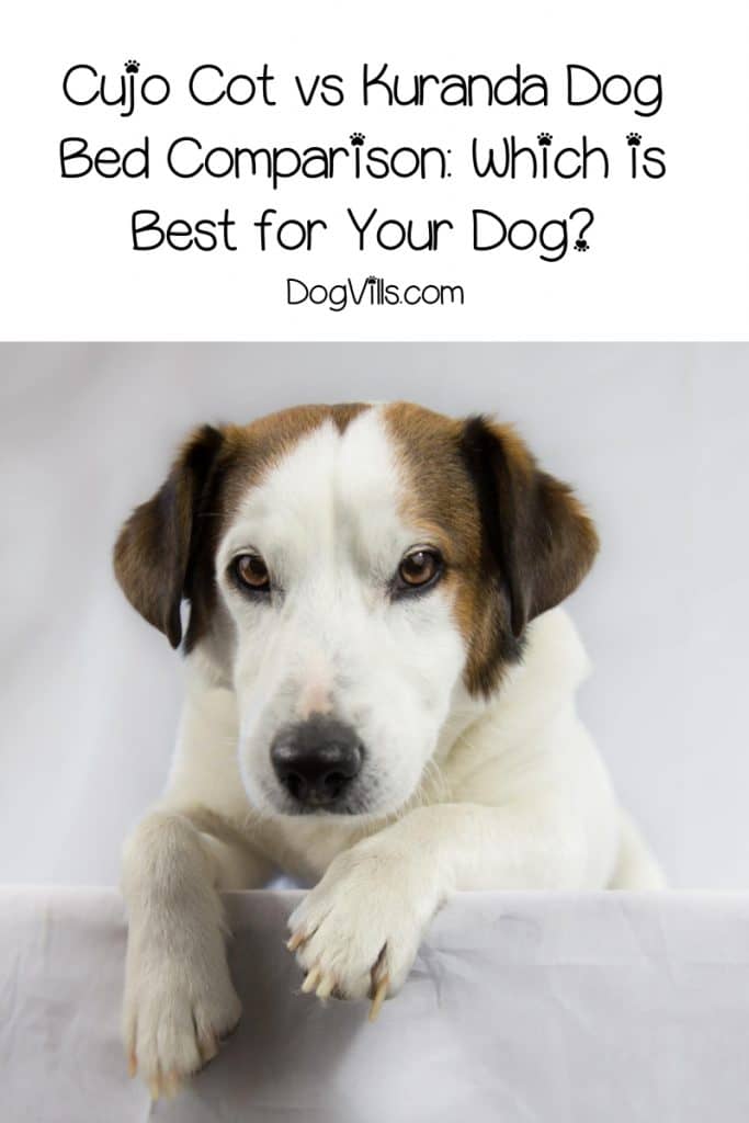 Trying to decide between the Cujo Cot vs Kuranda dog bed? Check out our comparison and reviews for both to determine which is right for your dog!