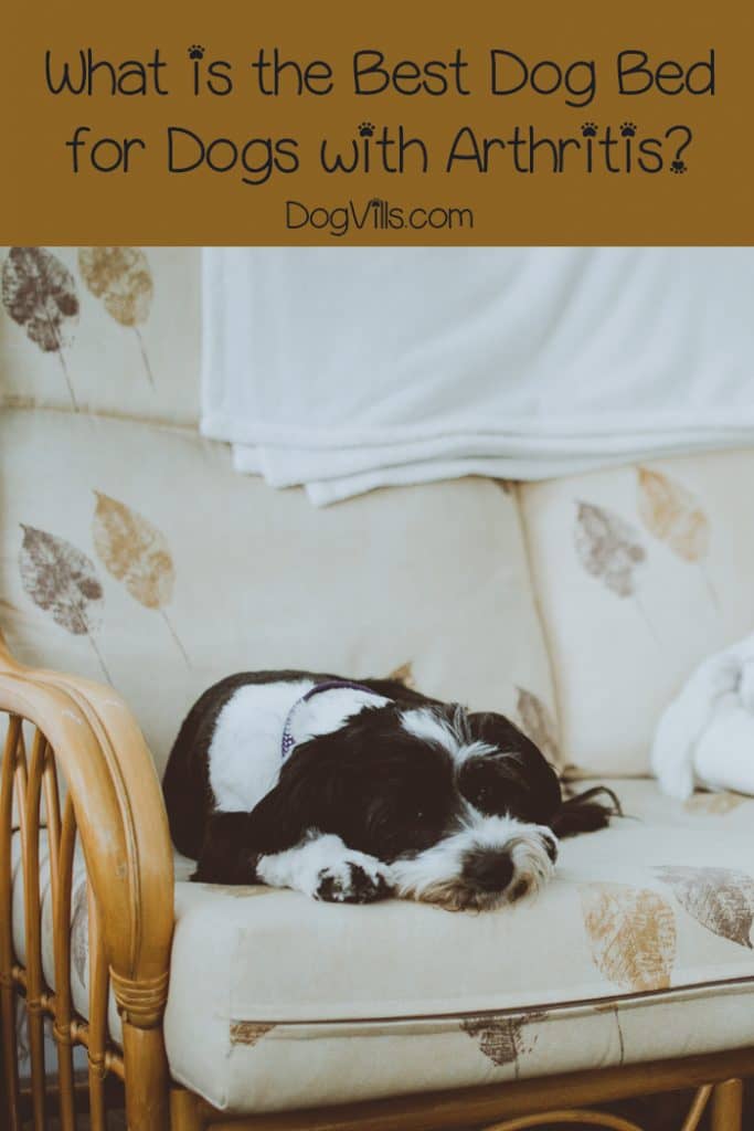 What is the best dog bed for dogs with arthritis? Learn what to look for when buying a bed, then check out my top 10 picks!