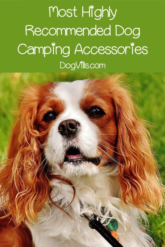 Check out our top recommendations for must-have dog camping gear!