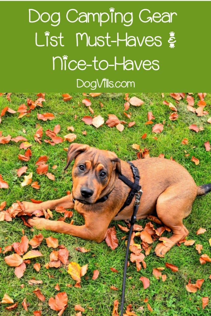 Let's start with the basics, shall we? Below you'll find "quick and dirty" lists of dog camping must-haves as well as "nice to haves." 