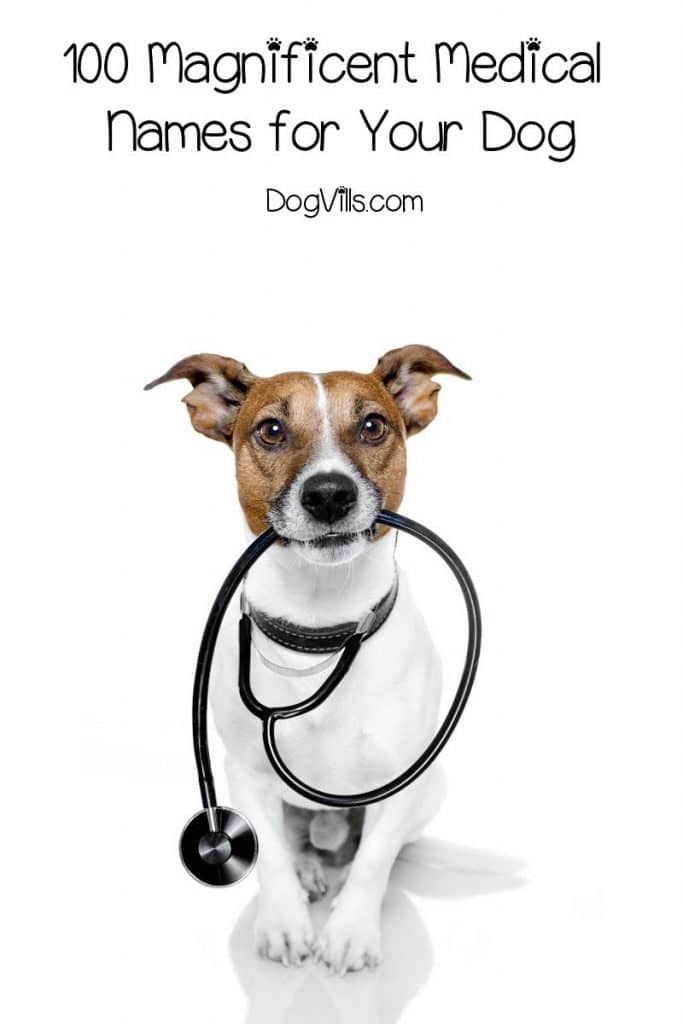 These top 100 medical names for pets make fantastic ideas for doctors, nurses, and first responders. We came up with 50 each for boys and girls! Check them out!