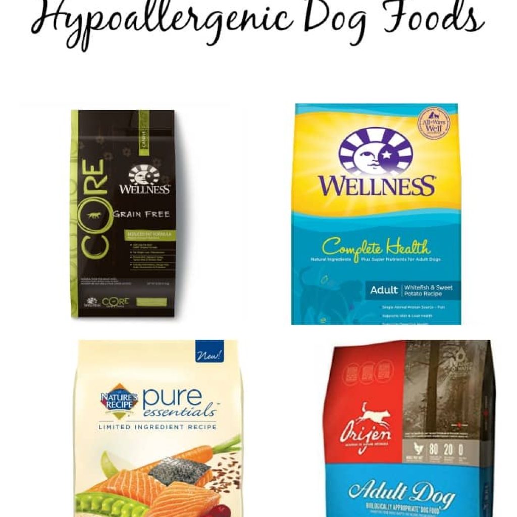 Looking for the best hypoallergenic dog foods for your pooch with allergies? Check out our picks for the top four tastiest & healthiest!