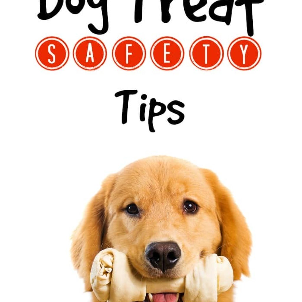 Worried about whether or not that bone Fido devoured in one sitting is going to hurt him? Check out our dog tip safety tips to keep your pooch in top shape!