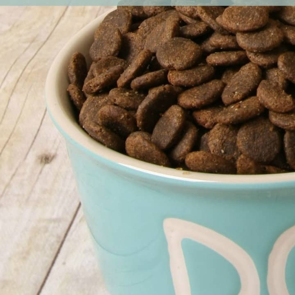 Can you safely make your own homemade dog food and still get the right balance of nutrients for your dog? Our resident vet tech weighs in on the subject. Check out his thoughts!
