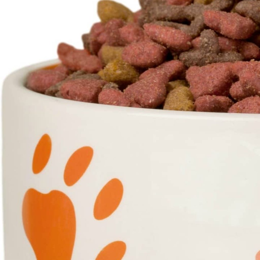 Does reading the dog food label on your pup’s food give you a headache? I don’t know about you, but I used to have a really hard time understanding dog food labels and knowing what to look for, especially with so much conflicting information out there! These tips for demystifying the mess really helped clarify things for me! Now I feel like I know what to feed my dog!